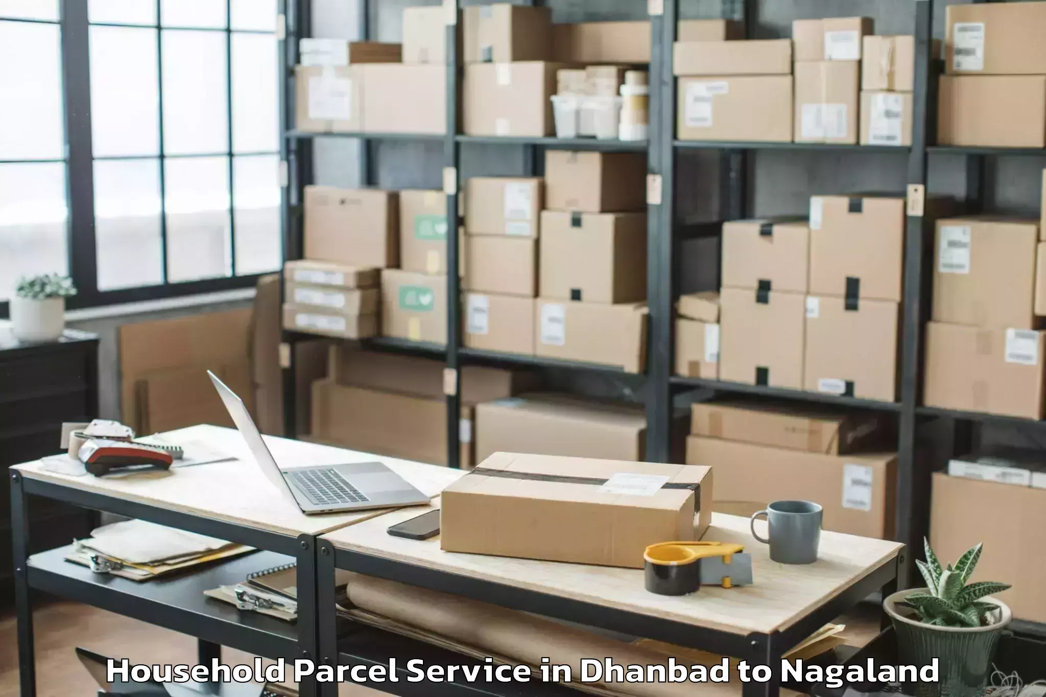 Easy Dhanbad to Sechu Zubza Household Parcel Booking